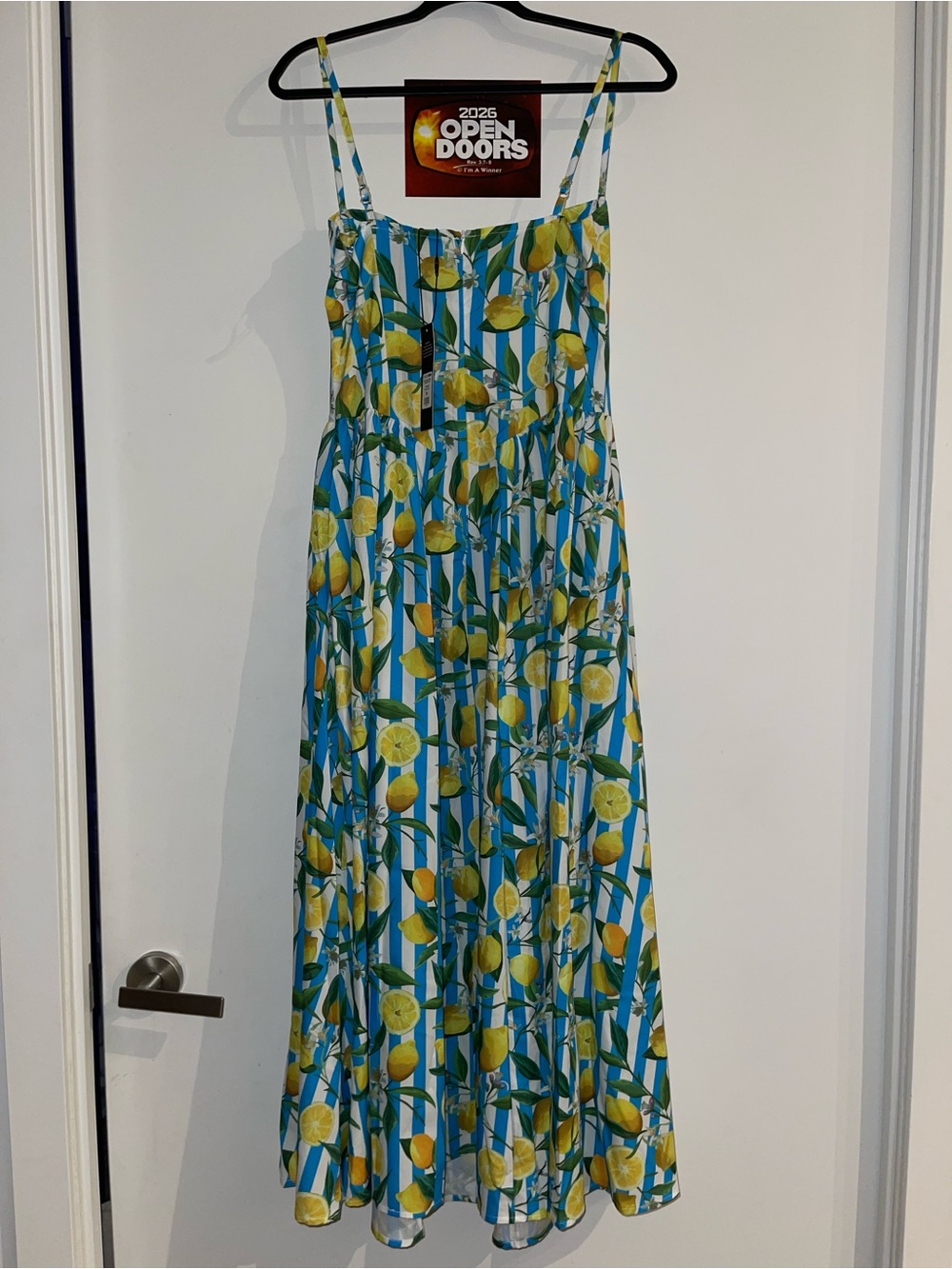 Fashion Nova Blue and Yellow Lemon Stripe Maxi Dress